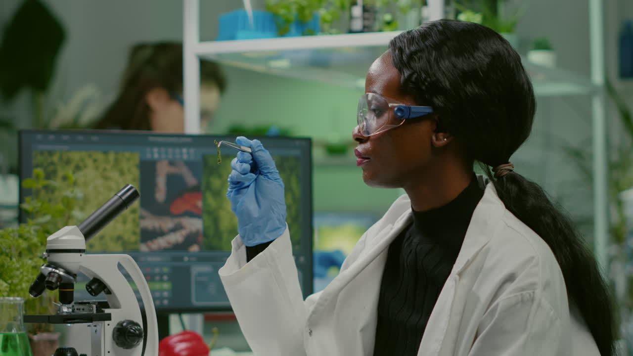 Pharmaceutical woman looking at organic leaf sample