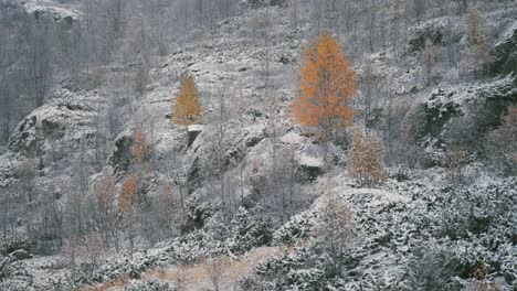 Der-Leichte-Erste-Schnee-Bedeckt-Die-Berghänge