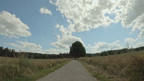 Fahrradausflug-An-Einem-Schönen-Sommertag,-Vorbei-An-Maisfeldern-Und-Einem-Großen-Baum,-Ein-Naturmoment-Zum-Genießen