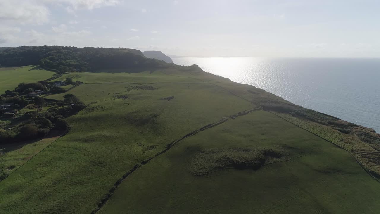 Aerial view of coastline with green fields and ocean