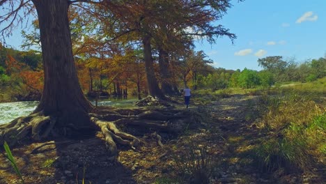 woman walking by river in autumn full of autumn colors on a sunny day