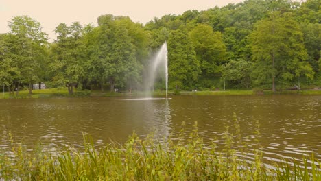 fountain in the pond at franco-german garden in saarbrucken, germany. - wide shot