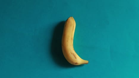 bananas rotate in a circle isolated on blue background