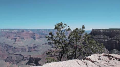 view of the grand canyon