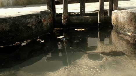 wooden sluice gate with floating leaves being carried by the current and dragged by the whirlpool vortex