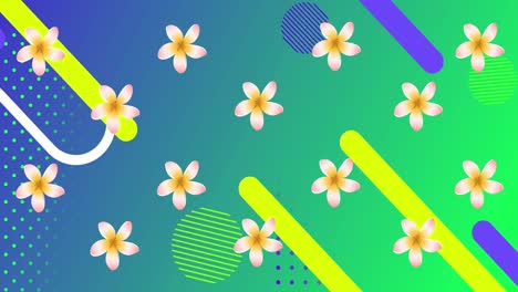 Animation-of-yellow-flowers-spinning-over-shapes-on-green-background