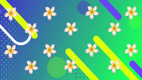 animación de flores amarillas girando sobre formas sobre fondo verde