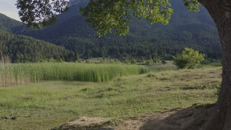 b-roll - lago doxa en grecia