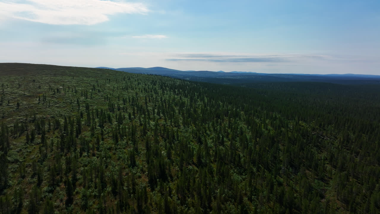 drone que se eleva sobre un field y la naturaleza polar, día soleado y de verano en inari, finlandia