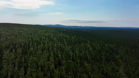 Drone-rising-over-a-fjeld-and-polar-nature,-sunny,-summer-day-in-Inari,-Finland