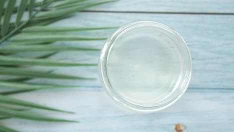 coconut oil in a glass jar with palm leaf