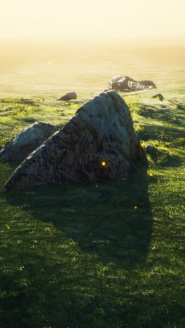 a serene field with rocks under a clear sky