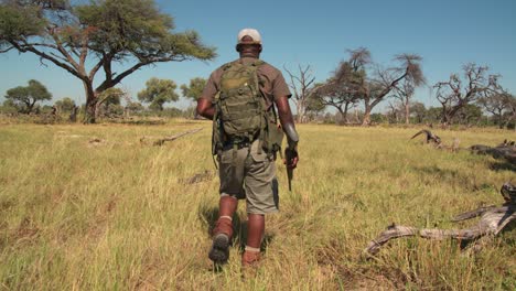 a game ranger walking through the grasslands