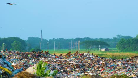 Residuos-Plásticos,-Vertederos-De-Basura-Con-Una-Chimenea-Industrial-Al-Fondo,-Pájaros-Se-Dan-Un-Festín-Con-Los-Residuos-De-Alimentos-En-Descomposición-Que-Se-Vierten-Diariamente-En-Los-Vertederos.