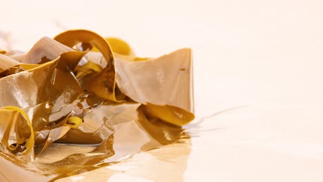 close-up of fresh kelp
