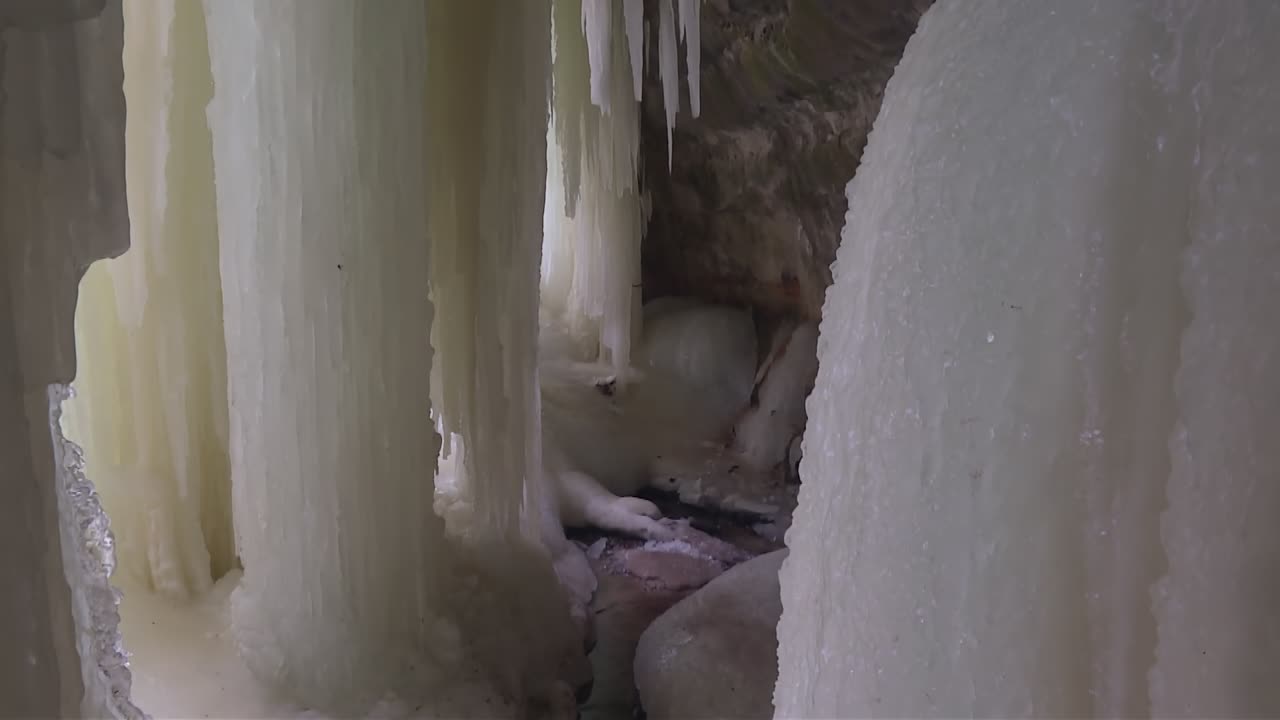 Thick yellow tinted icicles and rounded ice formations extend downward from cave ceiling to frozen ground. Eben Ice Caves, USA