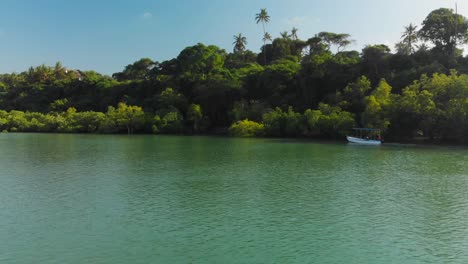 Traveling-through-mangroves-during-sunrise-near-Mombasa,-Kenya