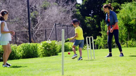 family playing cricket in park