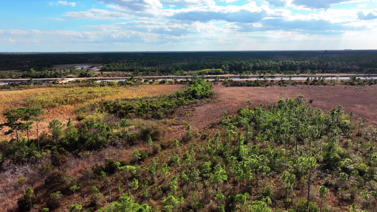 drone flying south in the John C. and Mariana Jones Hungryland Wildlife and Environmental Area in Palm Beach and Martin County Florida showing the vast expanse of the area.
