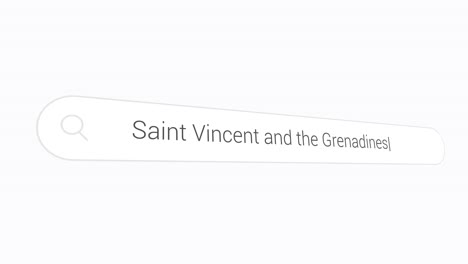 typing saint vincent and the grenadines in search engine - country in the caribbean