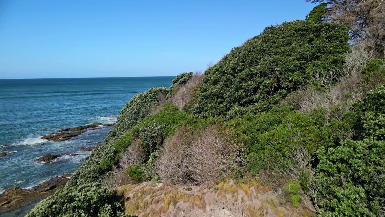 Sunny peaceful day drone flight at Rawera Beach, New Zealand. The camera flies over a grassy headland where animals graze before moving forward toward the vast blue and deep ocean