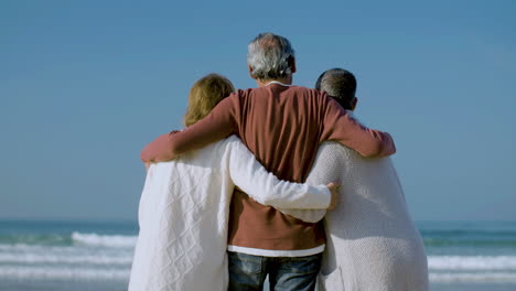 elderly friends hugging and looking at gorgeous seascape