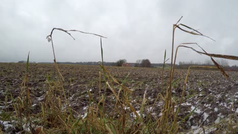 Un-Campo-En-El-Día-De-Enero