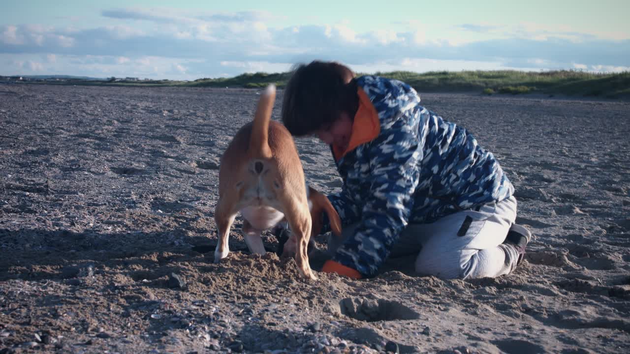 4k al aire libre en la playa niño y perro jugando en la arena