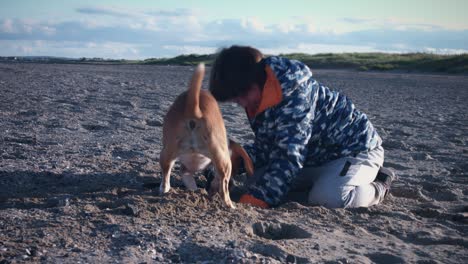 4k outdoor seaside child and dog playing in sand
