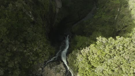 birds view shot of a long waterfall in a forest