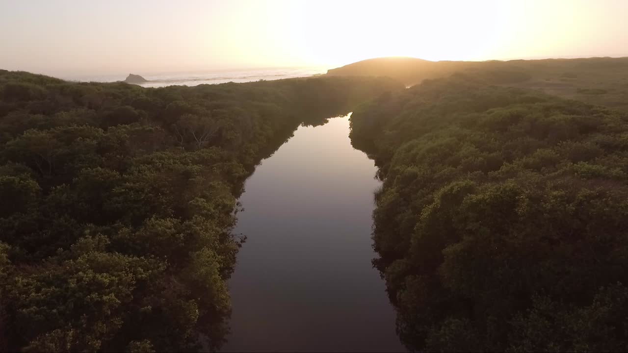 antena: los pájaros rodean la cámara a medida que avanza hacia el océano.