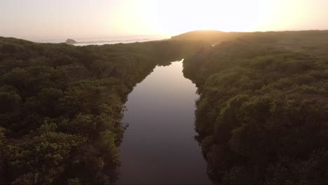 aerial - birds circle camera as it moves towards the ocean