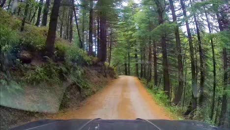 adventurous ride in suv through unpaved, dangerous, narrow mountainous roads amidst dense greenery