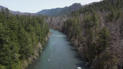 el río del bosque nacional de umpqua en las montañas cascade de oregón, condado de douglas - aérea