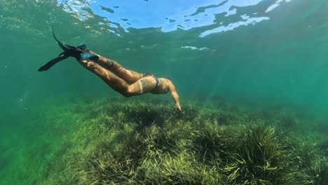 diving over a hill of poseidonian algae in mallorca