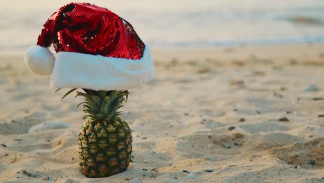 beach in curacao - pineapple wearing a christmas hat in the sand - close-up shot