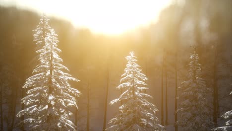 Herrliche-Weihnachtsszene-Im-Bergwald.-Bunter-Wintersonnenaufgang