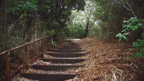 escalera oxidada en un bosque japonés rodeado de exuberante vegetación y hojas caídas