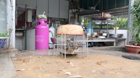 Chickens-await-their-fate,-Pho-restaurant,-animal-treatment-Vietnam