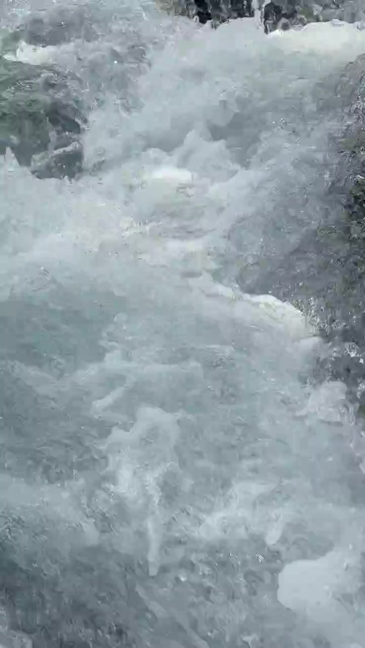 Rushing Water Flowing Over Rocks in a Mountain Stream