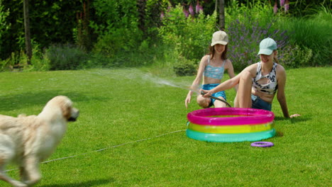 niños y perros jugando en el jardín con una manguera de agua