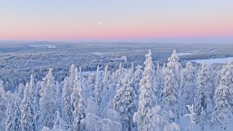 drone flying over untouched wilderness, in the winter wonderlands of north finland