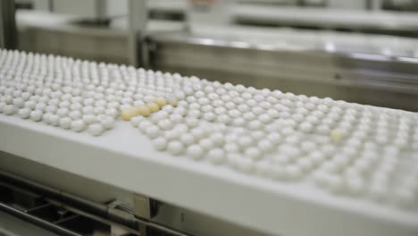 food production line with spherical items