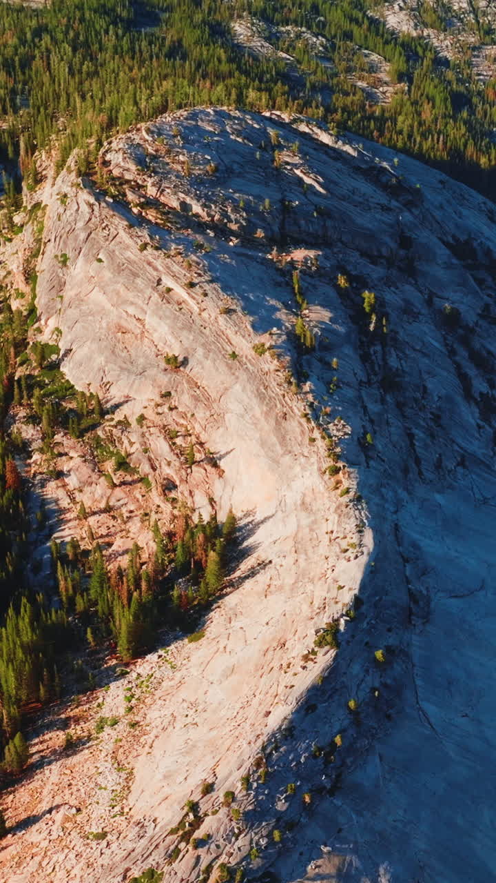 Highway built in the middle of a curvy mountain. Green pine tree forest growing at the foot of the rocks. Aerial view. Vertical video