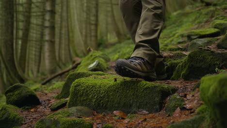 person hiking on a mossy forest trail