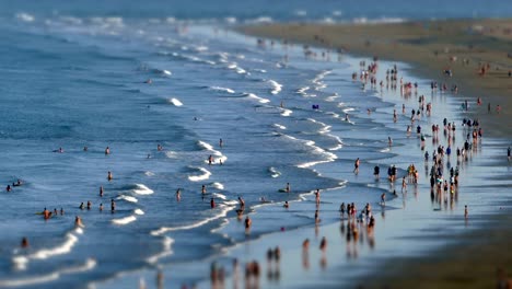 aerial view of the english beach, canary islands.time lapse. tilt-shift effect.