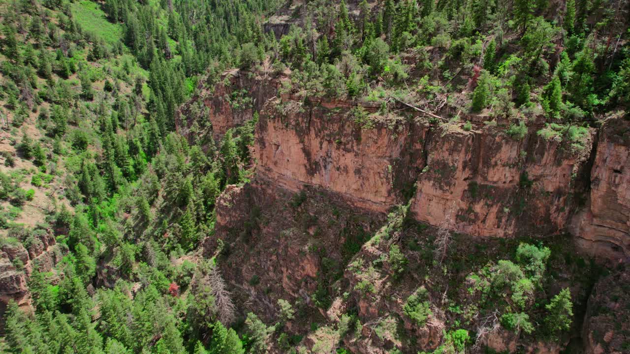 tiro de drone hd volando sobre el acantilado del cañón rocoso cubierto de árboles verdes saludables durante el brillante día de verano
