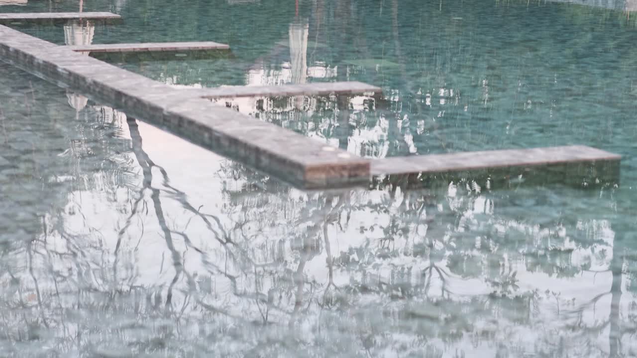 나무와 하늘을 반영하는 평온한 물 표면