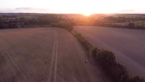 Fliegen-Sie-über-Wunderschöne-Hügelige-Felder-In-Richtung-Eines-Atemberaubenden-Orangefarbenen-Sonnenuntergangs