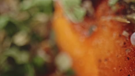 detailed macro shot of carrot with spices, rice and herbs sprinkled on top